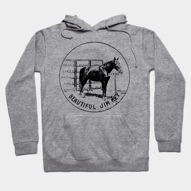 Beautiful Jim Key Performing Horse Hoodie by DrumRollDesigns